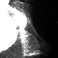 X6061742-digital culture-ROBOAM