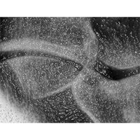 X624709-digital culture-ROBOAM